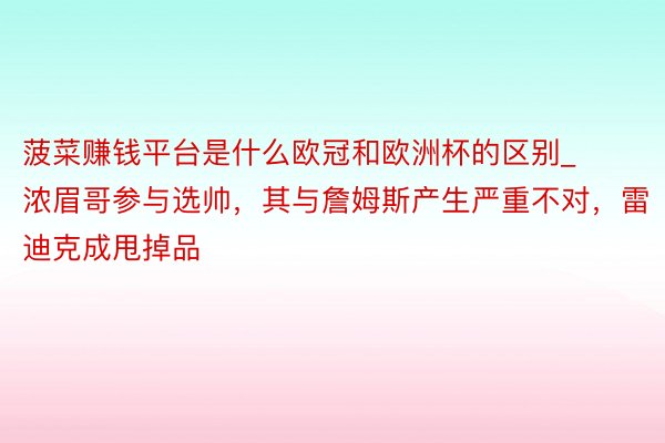 菠菜赚钱平台是什么欧冠和欧洲杯的区别_浓眉哥参与选帅，其与詹姆斯产生严重不对，雷迪克成甩掉品