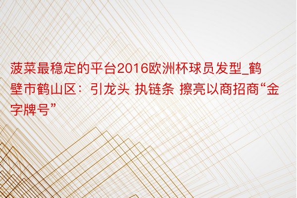 菠菜最稳定的平台2016欧洲杯球员发型_鹤壁市鹤山区：引龙头 执链条 擦亮以商招商“金字牌号”